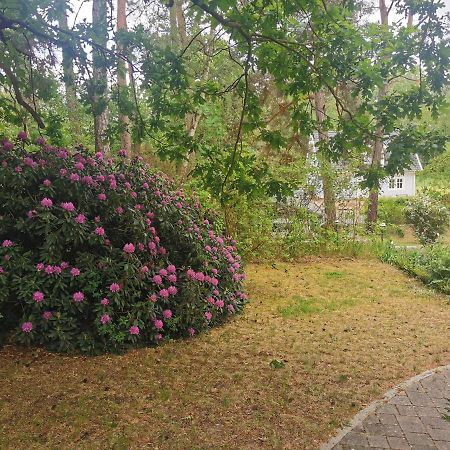 Fahrradpension Am Weg Nach Kopenhagen Furstenberg-Havel Bagian luar foto